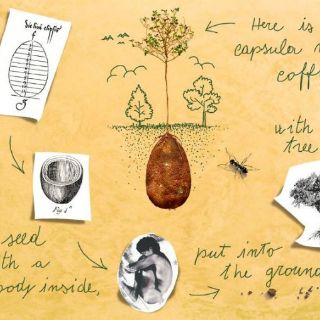 Ofrecen cápsulas orgánicas para sustituir ataúdes