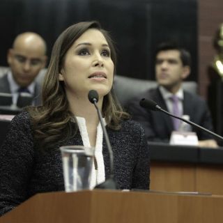 Piden a Senado apertura en indagatorias de derechos humanos