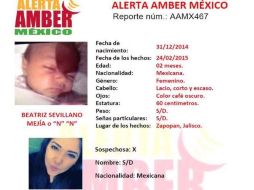 Imagen con la información oficial de la desaparición de la menor. ESPECIAL /