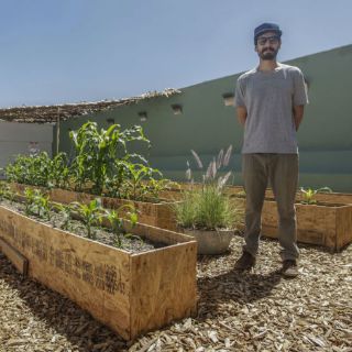 Reflexiones sobre el maíz y su legado