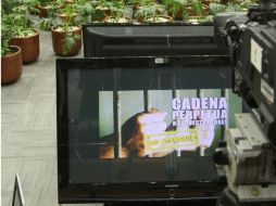 Consideran que aún resulta insuficiente, pero reconocen un avance en el proceso electoral actual. NTX / C. Pereda