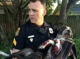 Los agentes liberaron a la perra, a la que llamaron 'Cabela', y la llevaron al veterinario. AFP / TAMPA POLICE DEPARTMENT