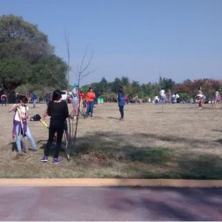 Extra AC inicia jornadas por la supervivencia de árboles nuevos