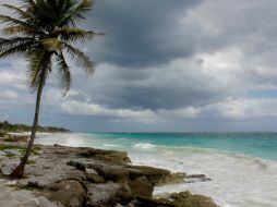 Los pobladores realizan acciones para proteger Mahahual para que se posicione como un destino ecoturístico. NTX / ARCHIVO
