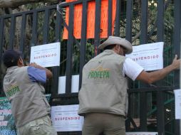 La Profepa informa que llegó a un acuerdo con el dueño del zoológico. TWITTER / @PROFEPA_Mx