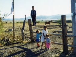 Niños, niñas y adolescentes laboran para mejorar su condición de vida, poniendo en riesgo su vida. EL INFORMADOR / ARCHIVO