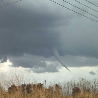 Registran 'culebra de agua' en Atotonilco el Alto