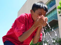 La Nueva Ley General del Agua restringe el derecho al agua a 50 litros por persona, la OMS mantiene un criterio de 100 litros. EL INFORMADOR / ARCHIVO