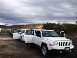 Perreditas asistieron al entierro de Aidé Nava González, quien era virtual candidata del PRD para la alcaldía de Ahuacuotzingo. SUN /