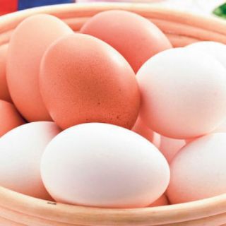 Aires del Campo busca incrementar sus ventas