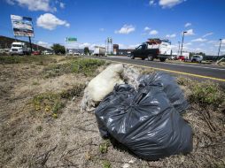 Tras conocer el reporte de los vecinos, el Ayuntamiento de Zapopan terminará de limpiar la vía.  /