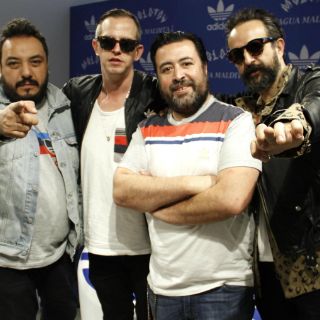 Molotov, 'rucos' que sacuden el polvo