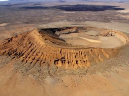 Hasta el 31 de mayo el público tendrá la oportunidad de conocer la vasta diversidad de flora y fauna del desierto. EFE / ARCHIVO