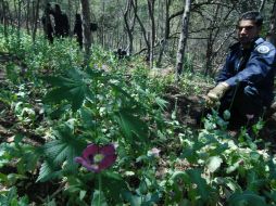 Toman muestras para ponerlas a disposición del Ministerio Público de la Federación. NTX / ARCHIVO