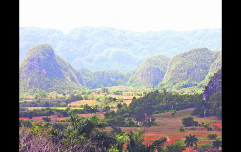Los bohíos soñolientos de Viñales se acurrucan entre los Mogotes milenarios. EL INFORMADOR / P. Fernández