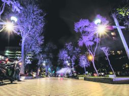 Para el proyecto de iluminación de los edificios se emplearon 10 millones de pesos. EL INFORMADOR / A. Hernández