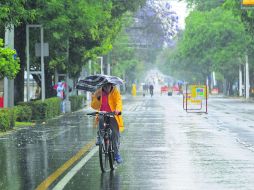 Pese a que marzo es el mes más seco del año, 'El Niño' ha provocado lluvias en los últimos días. EL INFORMADOR / M. Vargas