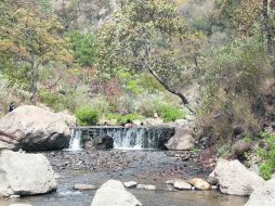 Área protegida. El Organismo Público Descentralizado Bosque de la Primavera ya cuenta con reglamento. EL INFORMADOR / A. Camacho