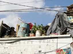 La acumulación de artículos, como cacharros, macetas, plantas y basura pueden provocar la propagación del mosquito del dengue. EL INFORMADOR / ARCHIVO