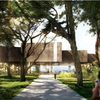 Sigue su curso el Museo Barranca