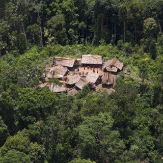 El Amazonas reduce su capacidad para absorber dióxido de carbono