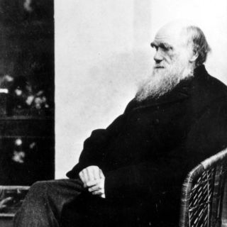 Científicos resuelven misterio de 'extraños' mamíferos de Darwin