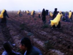 La Comisión Nacional de Derechos Humanos lamenta las condiciones deplorables en que se encontró a 200 indígenas. NTX / C. Pereda