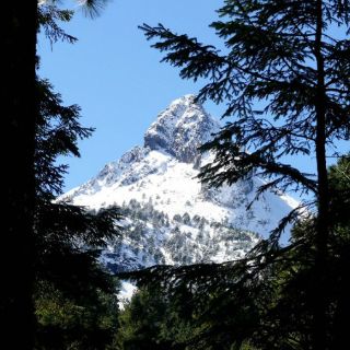 Reabren el Parque Nacional Nevado de Colima