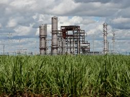 El bioetanol es obtenido de la fermentación de los azúcares y puede utilizarse como combustible solo o mezclado con gasolina. EL INFORMADOR / ARCHIVO