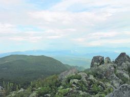 Un fantástico bosque abrazaba el Huehuentón, unas nubecillas bajas se esparcían en el manto verde. EL INFORMADOR / V. García