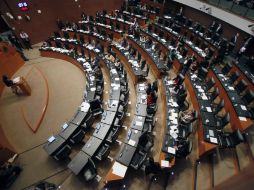 Al mes, cada legislador recibe 74 mil 558 pesos para actividades legislativas y para atención ciudadana. NTX / ARCHIVO
