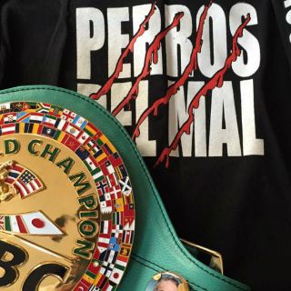 Jhonny González le dedicará su pelea al 'Hijo del Perro Aguayo'