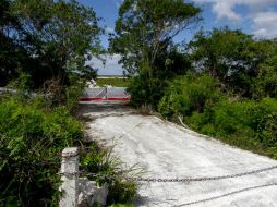 RIU puede combatir la negativa de la Semarnat, modificar su proyecto o completar la información faltante. NTX / ARCHIVO