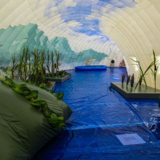 'Guachis' a domicilio