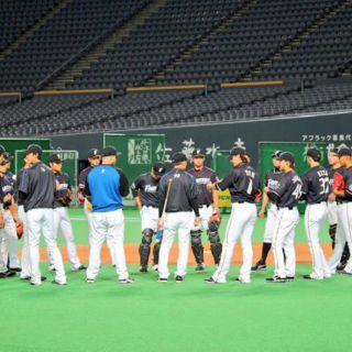 Equipo de beisbol pagará 350 mil dólares a víctima de foul