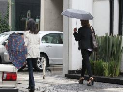 Invitan a los ciudadanos a seguir las recomendaciones a fin de salvaguardar su integridad física. NTX / ARCHIVO