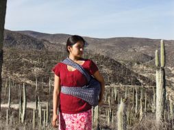 'La Tirisia' del director Jorge Pérez Solano, consigue dos de los cinco galardones de la sección oficial de largometrajes. ESPECIAL / ficg.mx