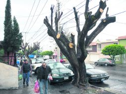 Vecinos identificaron vehículos y equipo perteneciente a la Dirección de Parques y Jardines en el área. EL INFORMADOR / J. Mendoza