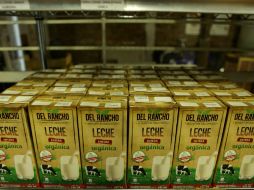 Estudio detalla que la incorporación de LGG en pacientes mostraron un cambio en la composición de la microflora intestinal. EL INFORMADOR / ARCHIVO