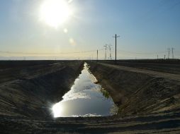 El gobierno de California quiere reducir el gasto de agua en un 25% en lo que queda de año. AFP / ARCHIVO