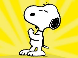 Snoopy es un beagle y aunque son raros, sí existen beagles blancos con negro como él. TWITTER / @Snoopy