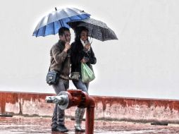 Para este sábado se esperan precipitaciones de menor intensidad con posibilidad de tormentas eléctricas. EL INFORMADOR / ARCHIVO