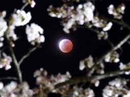 A las 06:05, el eclipse llegó a su totalidad. AP /