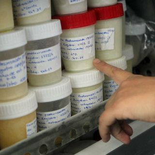 Déficit en banco de leche materna; hay sólo 15 donadoras