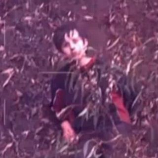 Hallan a niño autista tras cuatro días perdido en bosque australiano