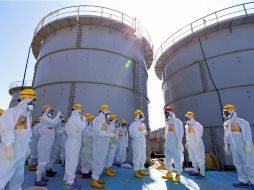 Los científicos habían previsto que la radiación llegaría en 2015 a las costas norteamericanas. AP / ARCHIVO