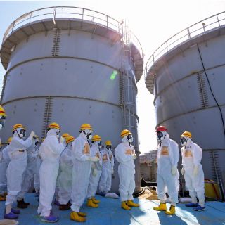 Detectan por primera vez radiación de Fukushima en la costa de Canadá