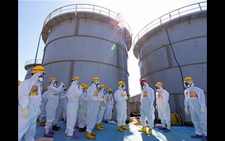 Los científicos habían previsto que la radiación llegaría en 2015 a las costas norteamericanas. AP / ARCHIVO