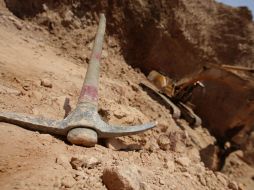 Gerardo Vargas afirmó que el robo fue llevado a cabo por empleados o ex empleados que conocían los movimientos de la minera. EL INFORMADOR / ARCHIVO