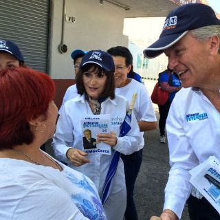 Alfonso Petersen critica modelo del Mando Único